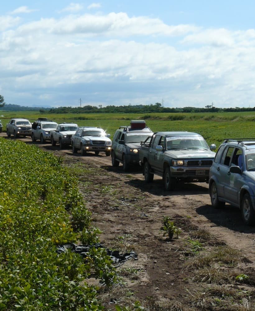 PLANTILLA MOVIL TARJETAS (18) (2)